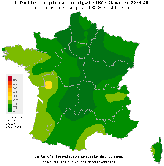 Infection respiratoire aiguë (IRA)